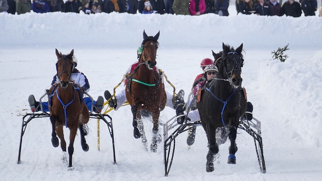 国足协的全 国足协的全