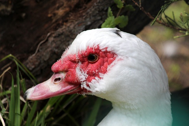 当地的国际 当地的国际