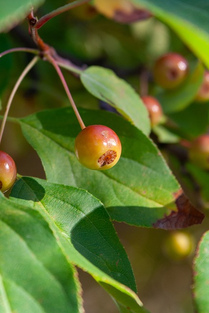 往往不仅仅 往往不仅仅
