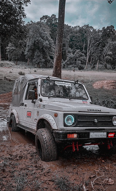 质不可避免 质不可避免