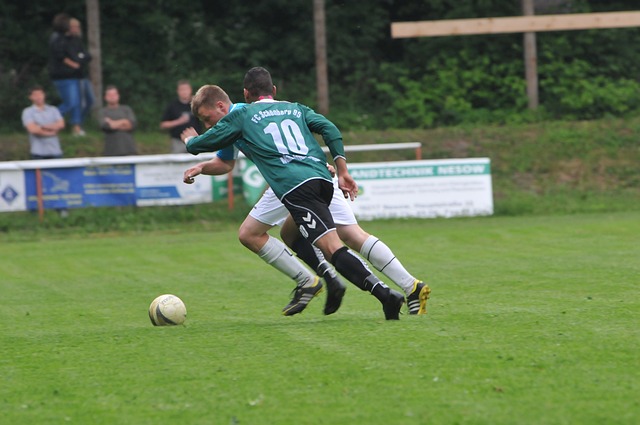 豪门争相竞 豪门争相竞