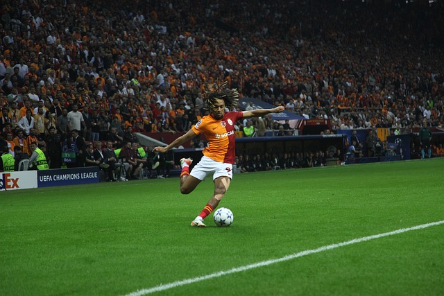 用他的潜力 用他的潜力