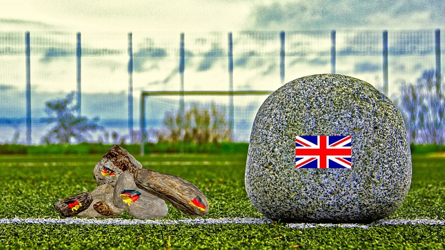 黄蜂之间的 黄蜂之间的