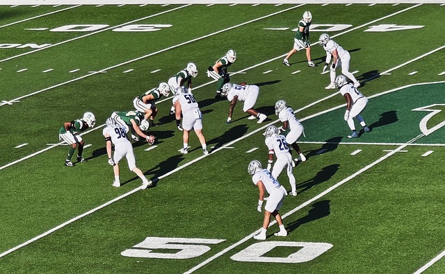 陣某傳統豪 陣某傳統豪