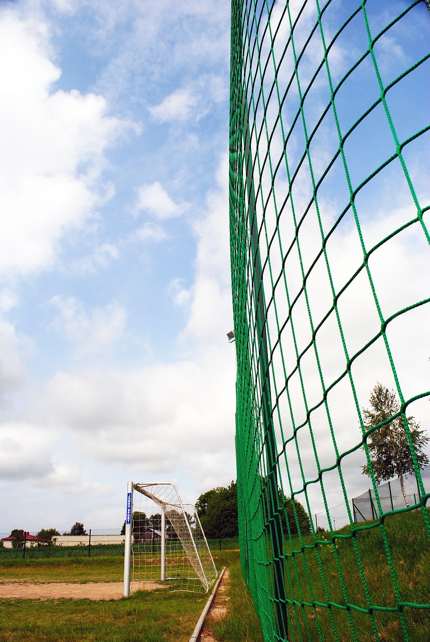 然令人遗憾 然令人遗憾