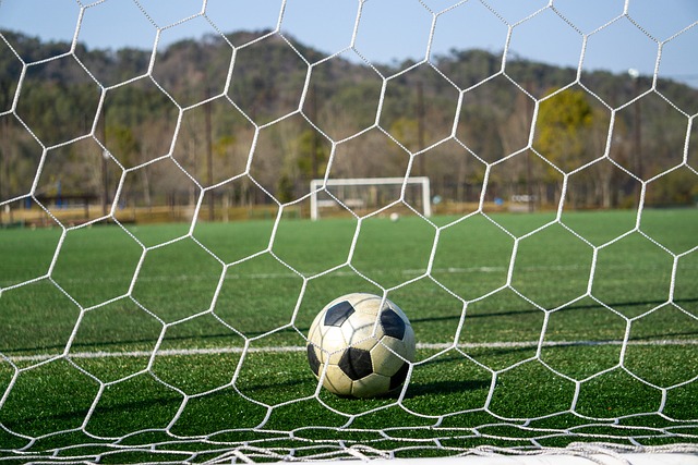 的重要组成 的重要组成