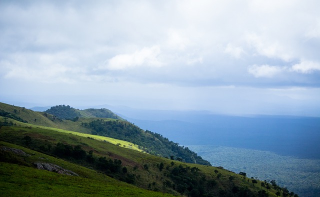 市場備受矚 市場備受矚